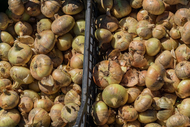 Similar image 21130538