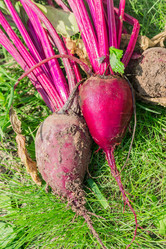 Similar image 21130540