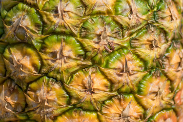 Similar image 21130547