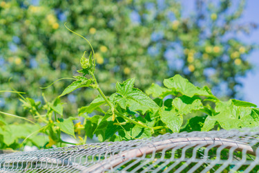 Similar image 21130552