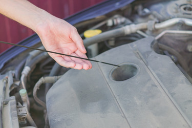 Similar image 21130553