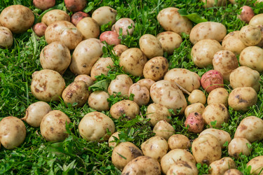 Similar image 21131255