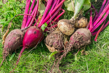 Similar image 21131341