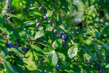 Similar image 21131343