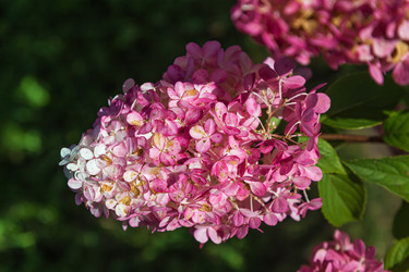 Similar image 21126701