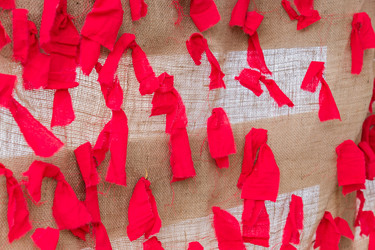 Similar image 21131456