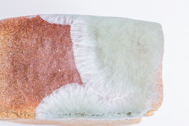 Similar image 21131472