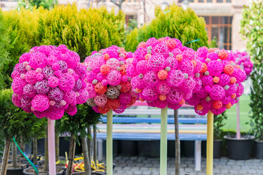 Similar image 21131476