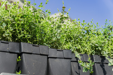 Similar image 21131478