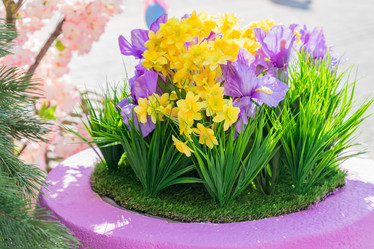 Similar image 21131485