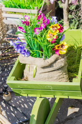 Similar image 21131487