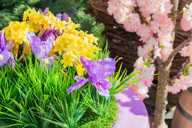 Similar image 21131652