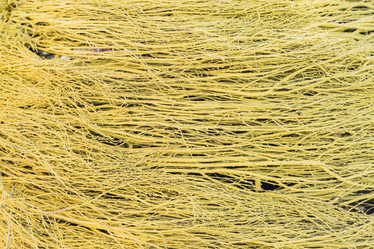 Similar image 21131657