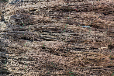 Similar image 21131658