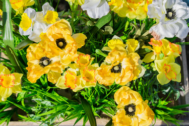 Similar image 21131660