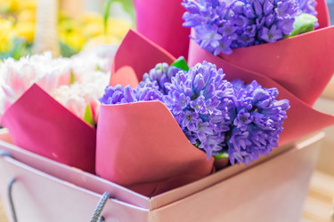 Similar image 21131710