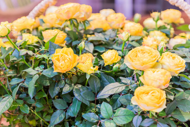 Similar image 21131711