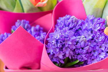 Similar image 21131713