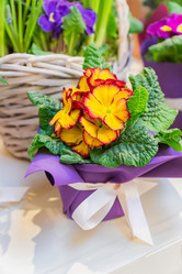 Similar image 21131717