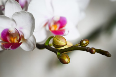 Similar image 21114129