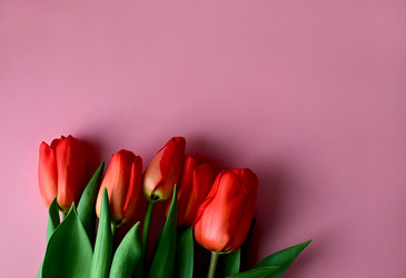 Similar image 21114130