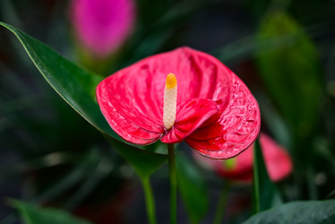 Similar image 21114131