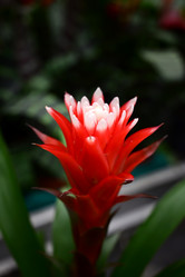 Similar image 21114133