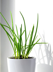 Similar image 21114135