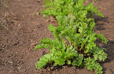 Similar image 21114136