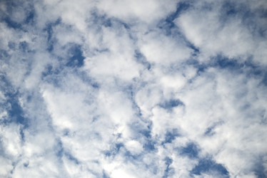 Similar image 21114138