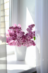 Similar image 21114140