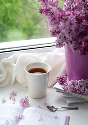 Similar image 21114141