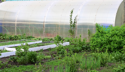 Similar image 21114142