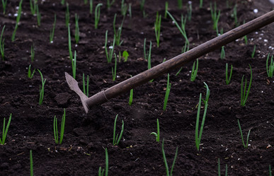 Similar image 21114144