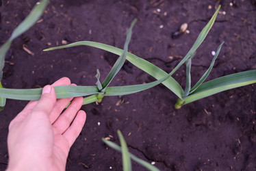 Similar image 21114145