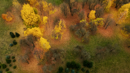 Similar image 21114152