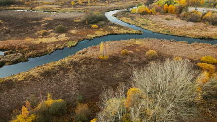 Similar image 21114159