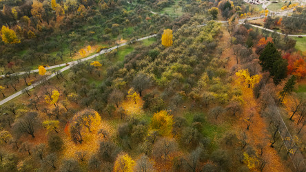 Similar image 21114175