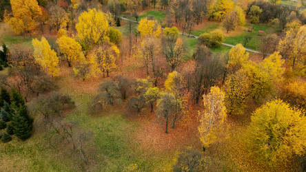 Similar image 21114176