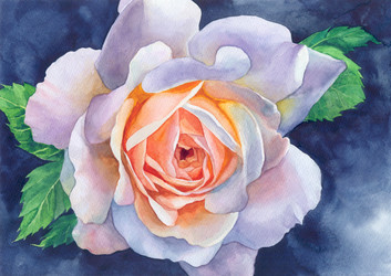 Similar image 21112505