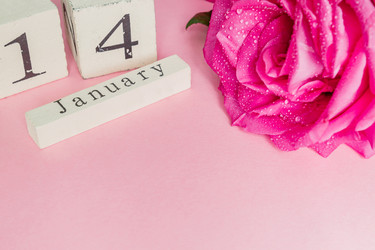 Similar image 21131493