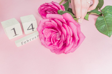 Similar image 21131494