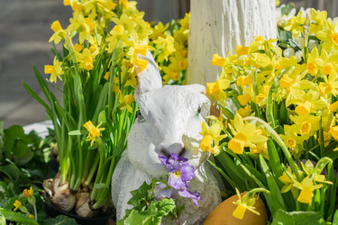 Similar image 21131497