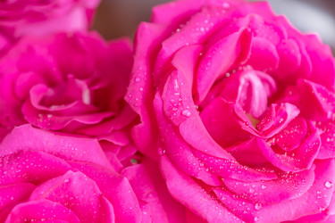 Similar image 21131498