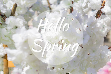 Similar image 21131502