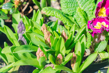 Similar image 21131513