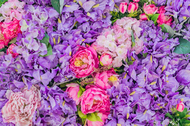 Similar image 21131520