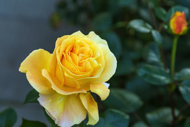 Similar image 21127010