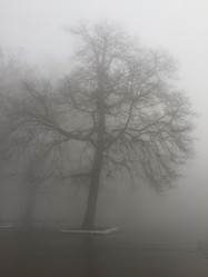 Similar image 21115561