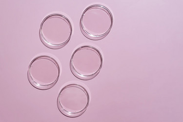 Similar image 21130562